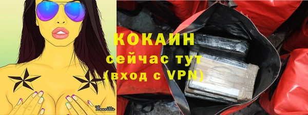 ешки Вяземский